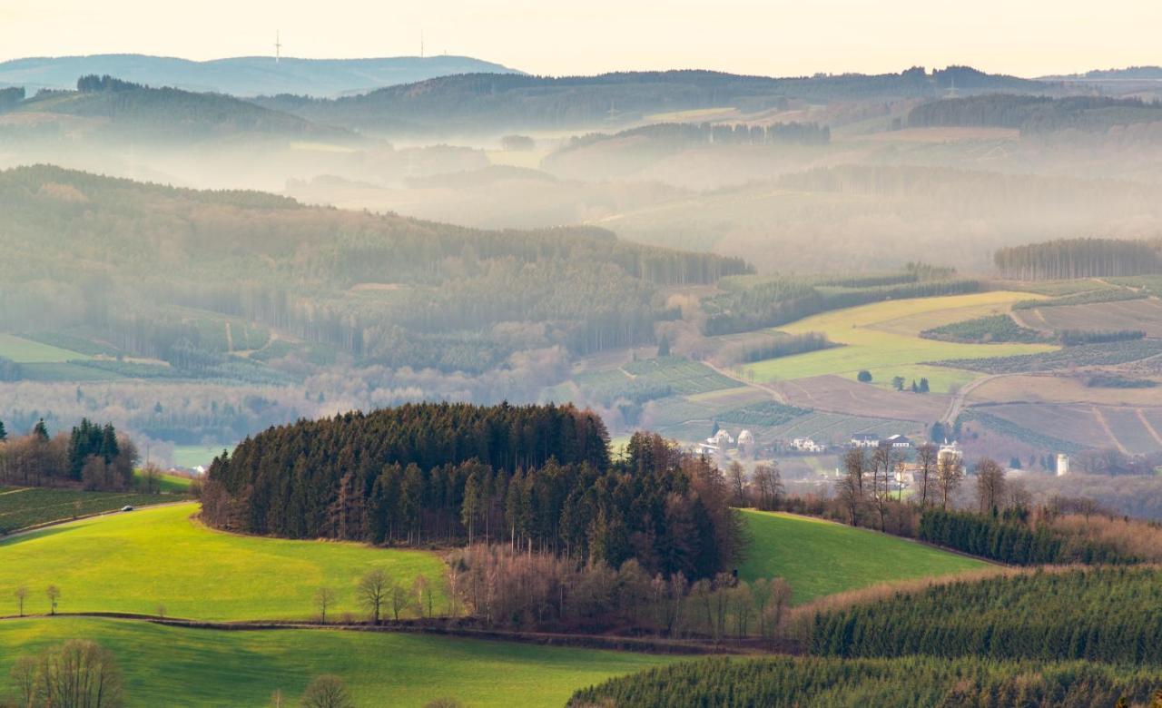 Ferienwohnung Suedhang Winterberg Bagian luar foto